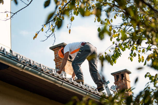Quick and Trustworthy Emergency Roof Repair Services in Holiday, FL