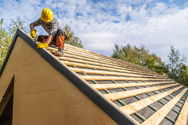 Best Commercial Roofing Services  in Holiday, FL