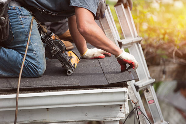 Best Roof Maintenance Services  in Holiday, FL
