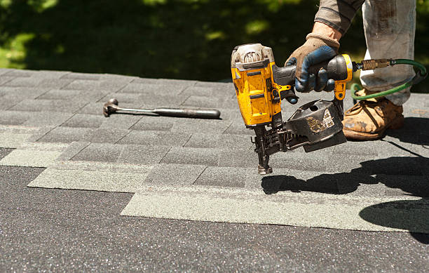 Best Roof Gutter Cleaning  in Holiday, FL