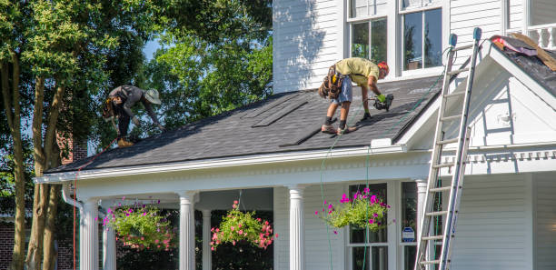 Best Emergency Roof Repair  in Holiday, FL