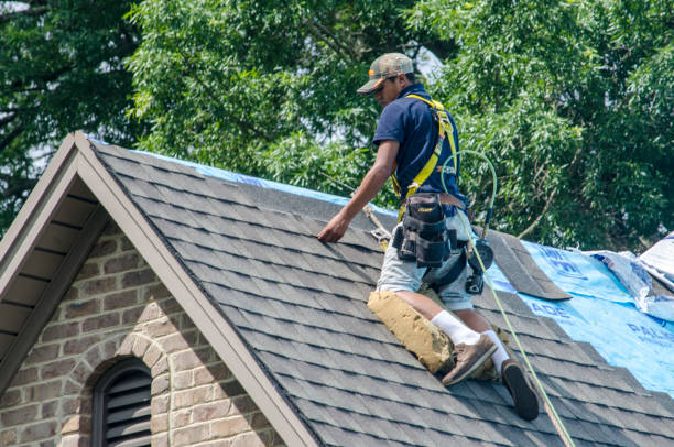 Best Residential Roofing Contractor  in Holiday, FL